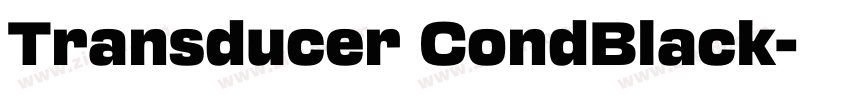 Transducer CondBlack字体转换
